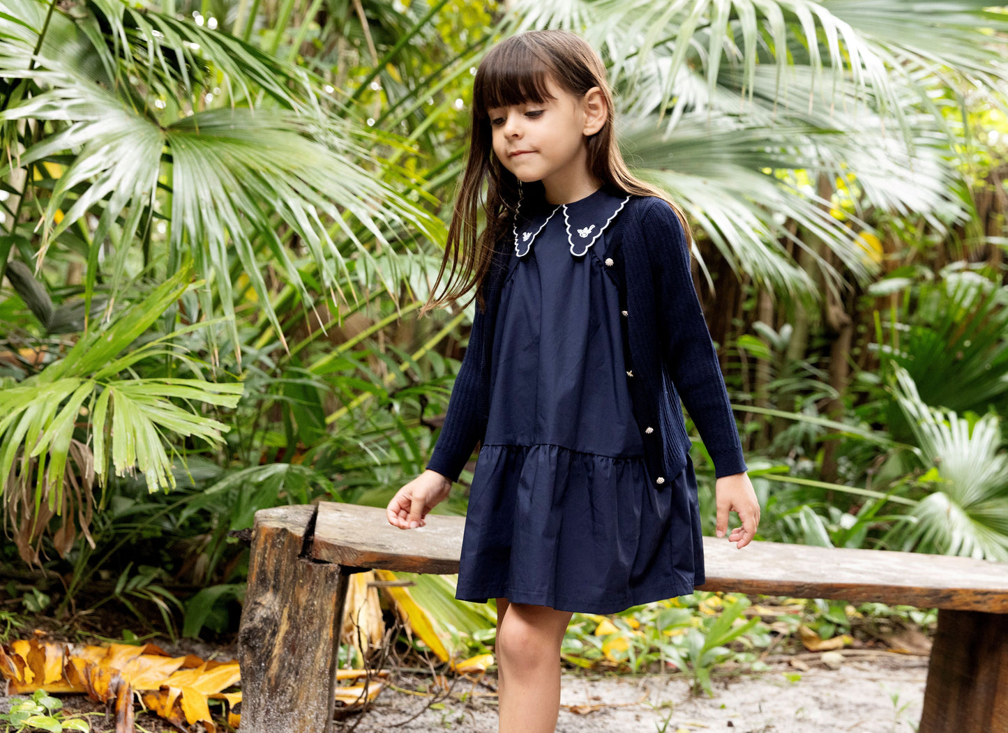 Embroidered Collar s/s Dress